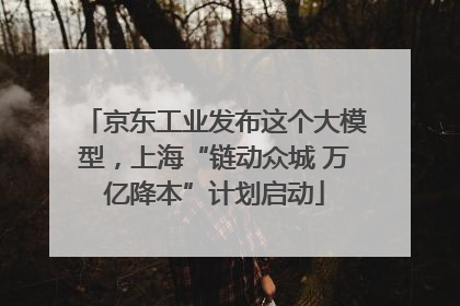 京东工业发布这个大模型，上海“链动众城 万亿降本”计划启动