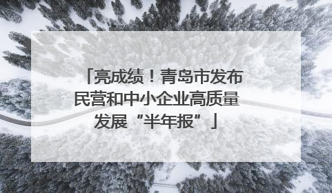 亮成绩！青岛市发布民营和中小企业高质量发展“半年报”