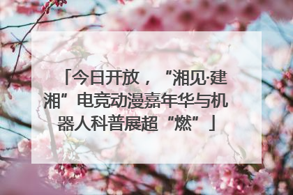 今日开放，“湘见·建湘”电竞动漫嘉年华与机器人科普展超“燃”
