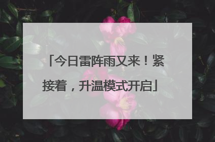 今日雷阵雨又来！紧接着，升温模式开启
