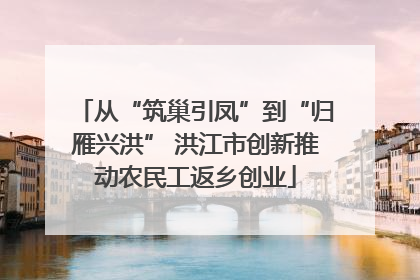 从“筑巢引凤”到“归雁兴洪” 洪江市创新推动农民工返乡创业