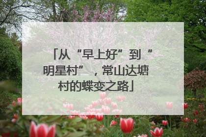 从“早上好”到“明星村”，常山达塘村的蝶变之路