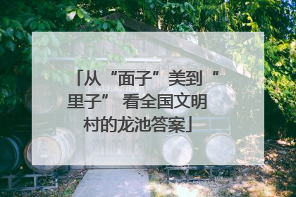 从“面子”美到“里子” 看全国文明村的龙池答案
