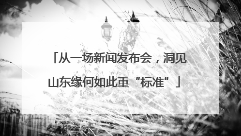 从一场新闻发布会，洞见山东缘何如此重“标准”