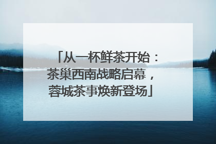 从一杯鲜茶开始：茶巢西南战略启幕，蓉城茶事焕新登场