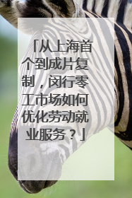 从上海首个到成片复制，闵行零工市场如何优化劳动就业服务？