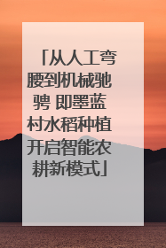 从人工弯腰到机械驰骋 即墨蓝村水稻种植开启智能农耕新模式