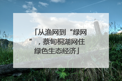 从渔网到“绿网”，蔡甸桐湖网住绿色生态经济