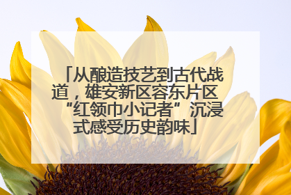 从酿造技艺到古代战道，雄安新区容东片区“红领巾小记者”沉浸式感受历史韵味