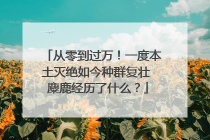 从零到过万！一度本土灭绝如今种群复壮 麋鹿经历了什么？