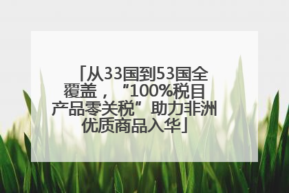 从33国到53国全覆盖，“100%税目产品零关税”助力非洲优质商品入华