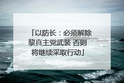 以防长：必须解除黎真主党武装 否则将继续采取行动