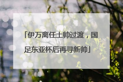 伊万离任土帅过渡，国足东亚杯后再寻新帅