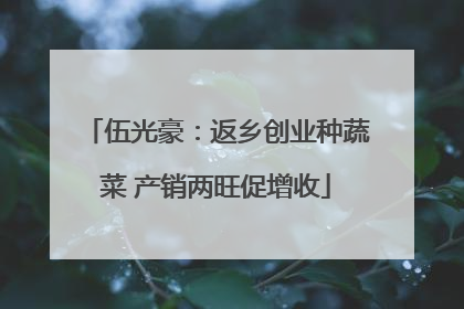 伍光豪：返乡创业种蔬菜 产销两旺促增收