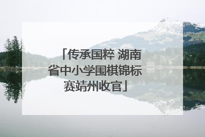 传承国粹 湖南省中小学围棋锦标赛靖州收官