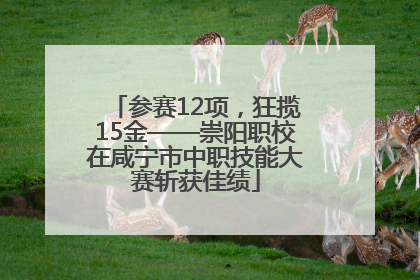 参赛12项，狂揽15金——崇阳职校在咸宁市中职技能大赛斩获佳绩