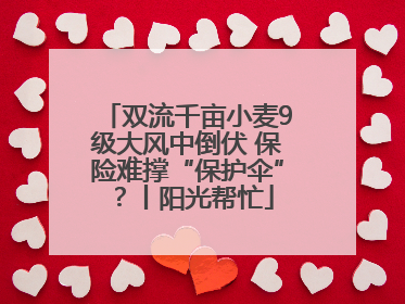 双流千亩小麦9级大风中倒伏 保险难撑“保护伞”？丨阳光帮忙