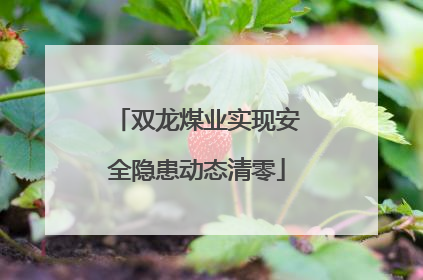 双龙煤业实现安全隐患动态清零