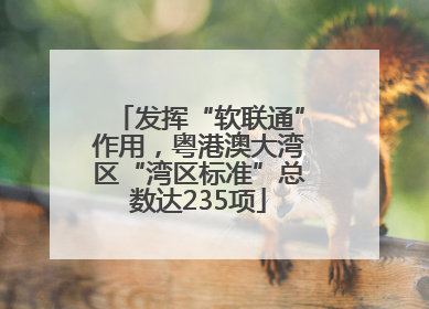 发挥“软联通”作用，粤港澳大湾区“湾区标准”总数达235项