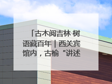 古木阅吉林 树语藏百年｜西关宾馆内，古榆“讲述”时光絮语