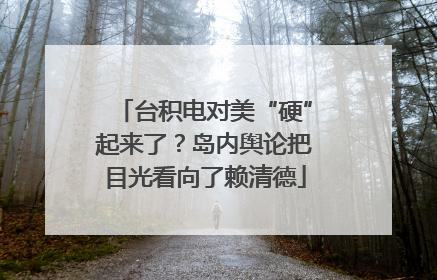 台积电对美“硬”起来了？岛内舆论把目光看向了赖清德