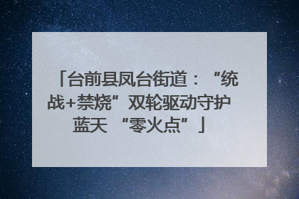 台前县凤台街道：“统战+禁烧”双轮驱动守护蓝天 “零火点”