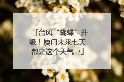 台风“蝴蝶”升级！厦门未来七天都是这个天气→