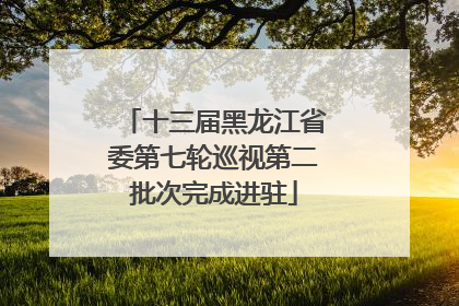 十三届黑龙江省委第七轮巡视第二批次完成进驻