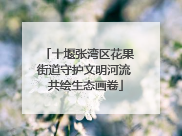 十堰张湾区花果街道守护文明河流 共绘生态画卷