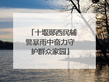 十堰郧西民辅警暴雨中奋力守护群众家园
