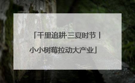 千里追耕·三夏时节丨小小树莓拉动大产业