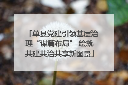 单县党建引领基层治理“谋篇布局” 绘就共建共治共享新图景