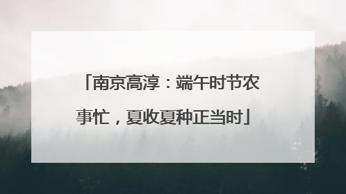 南京高淳：端午时节农事忙，夏收夏种正当时