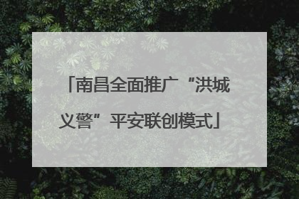 南昌全面推广“洪城义警”平安联创模式