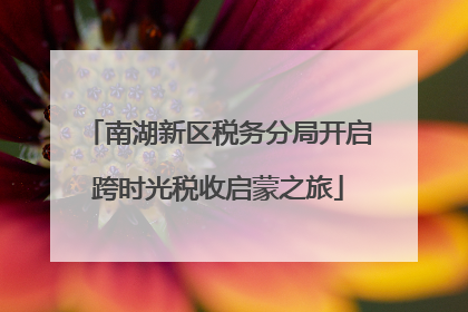 南湖新区税务分局开启跨时光税收启蒙之旅