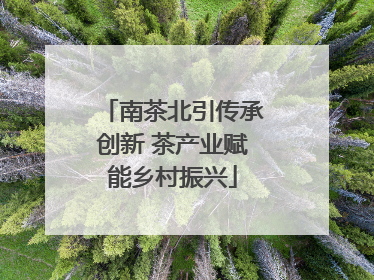 南茶北引传承创新 茶产业赋能乡村振兴
