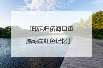 印尼归侨海口重温琼崖红色记忆