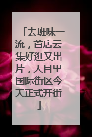 去班味一流，首店云集好逛又出片，天目里国际街区今天正式开街