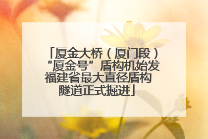 厦金大桥（厦门段）“厦金号”盾构机始发 福建省最大直径盾构隧道正式掘进