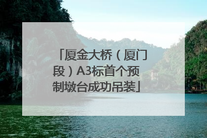 厦金大桥（厦门段）A3标首个预制墩台成功吊装