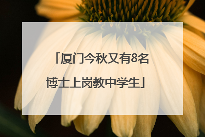 厦门今秋又有8名博士上岗教中学生