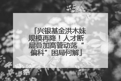 兴银基金洪木妹规模再降！人才断层叠加高管动荡“偏科”困局何解