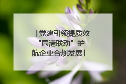 党建引领提质效 “局港联动”护航企业合规发展
