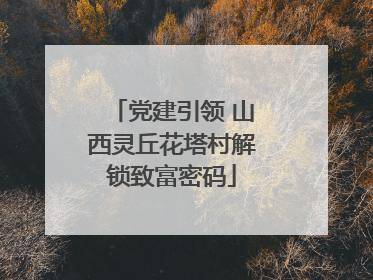 党建引领 山西灵丘花塔村解锁致富密码