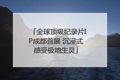 全球顶级纪录片IP成都首展 沉浸式感受极地生灵