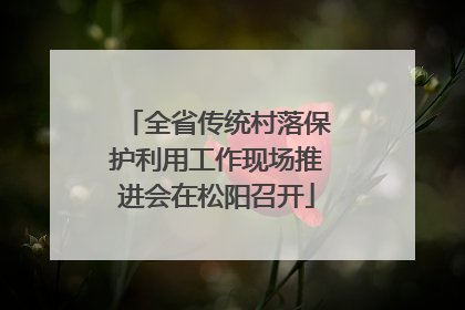 全省传统村落保护利用工作现场推进会在松阳召开