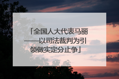 全国人大代表马丽——以司法裁判为引领做实定分止争