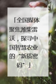 全国媒体聚焦潍柴雷沃，探寻中国智慧农业的“新质密码”