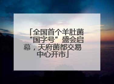 全国首个羊肚菌“国字号”盛会启幕，天府菌都交易中心开市