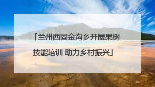 兰州西固金沟乡开展果树技能培训 助力乡村振兴
